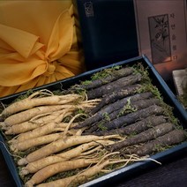 경성건강원 수삼 인삼 더덕 새싹인삼 자연산 인삼튀김 더덕 효능 부모님 남자친구선물 추천 강원도 선물세트, 2세트, 수삼100g(3~5뿌리) 더덕200g(6~7뿌리)]
