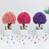 스칸디아모스 화분 그늘에서잘자라는 집에서키우기좋은 관리쉬운공기정화 식물, 퍼플