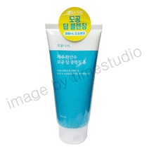 식물나라 제주탄산수 딥 클렌징폼300ml, 300ml, 1개