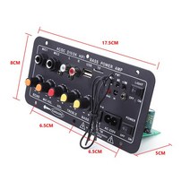 앰프 오디오 스테레오 서브 우퍼 앰프 보드 12V 24V 파워 BT5.0 가라오케 듀얼 마이크, CHINA_US