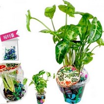 GYS072426물고기 수초화분 만들기 3개묶음, 상세페이지 참조