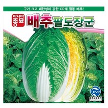 팔도장군 2000립 배추 씨앗 종자 구 크고 내한성 강한 CR계 월동김장 배추김치 뿌리혹병 강한 가을 텃밭 채소 농사