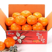 올탑농원 제주직송 고당도 레드향 2Kg 중대과(벌크), 단품