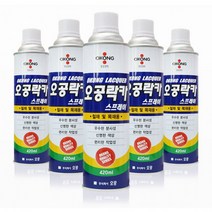 스프레이 페인팅 오공락카 목재 페인트 철채 락카, E오공락카_무광흑색