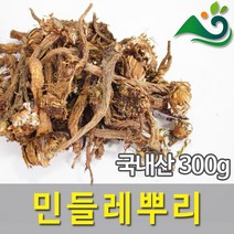 민들레뿌리(300g)-국내산, 300g, 1개