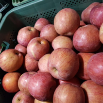 산지직송 경북 아삭아삭 실속형 가정용 사과 부사 대과 1박스 10kg, 1개