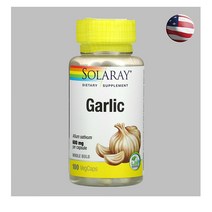 솔라레이 갈릭 마늘 효소 알리신 알리움 마늘추출물 100캡슐, 600mg 100캡슐
