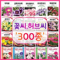 꽃씨 꽃씨몰 300종 허브씨 씨앗 다년생 노지월동 야생화 꽃씨앗 봄 제라늄 다알리아 작약, 188. 옥잠화 20립