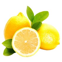 레몬20키로생레몬 인기 순위 TOP50에 속한 제품을 확인해보세요