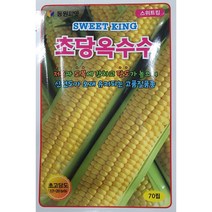 스위트초당 옥수수 씨앗/저온과 도복에 강하고 당도가 높으며 신선도가 오래 유지되는 옥수수//가람종묘사