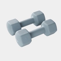 앳플리 LW 홈트 미용 아령 덤벨 네이비그레이 5kgx2개