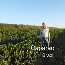 [위트러스트] 브라질 카파라오 500g Brazil 스페셜티 Caparao 커피, 커피메이커