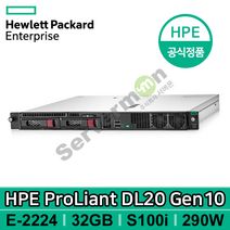 HP 프로라이언트 DL20 Gen10 서버 E-2224 4C 3.4GHz 1P 2LFF 16GBx2 S100i 290W Railkit [P17079-B21]