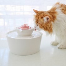 애완동물 정수기 자동 급수기 연잎 세라믹 고양이 정수기 자동 급수기, 세라믹물고기장난감 : 오렌지