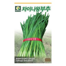 차이나왕부추씨앗 20g, 없음