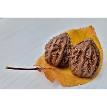 다팜몰 손 지압 가래(추자)열매 어버이날 건강 선물 세트 2개 1세트, 마소재하늘색