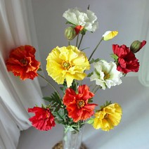 로지스튜디오 해당화, 레드