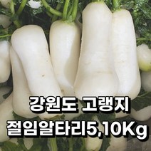 유기농알타리절임 TOP 가격비교