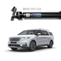 카니발 차량용 옷걸이 카본 이그나이트플레인, 1개