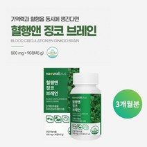 깜빡하는 습관 기억력 집중력 저하 두뇌 뇌 머리 혈액 혈관 혈행 순환 개선 관리 에 좋은 징코 은행잎 추출물 영양제, 1BOX(3개월분)