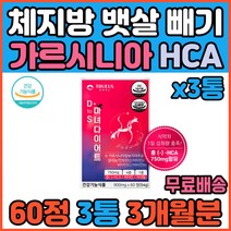 예비신부 신부관리 일주일 단기 다이어트 체지방줄이는법 탄수화물 컷팅제 보조제 가르시니아 차전자피 비타민B 곡물효소 체지방빼는법 종아리살 똥배 술배 허리살 옆구리살 빼는법