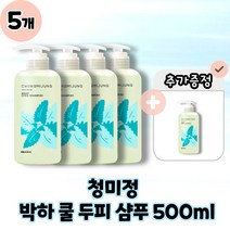 [CHUNGMIJUNG] 청미정 박하 쿨 샴푸 지성용 열감쿨링진정 본품 500ml, 5개, 500g