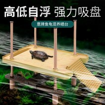 거북이 육지 테라스 하우스 꾸미기 먹이통 파충류 놀이터 일광욕 도마뱀 쉼터, 대형, 40.5x28x41cm