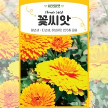 2023년 생산품 고급모음 꽃씨앗 일년생 다년생 야생화 사계절 꽃씨 종자, 39 겹꽃채송화1000립