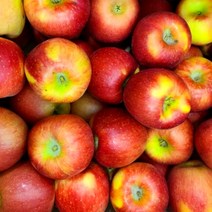 아리수사과 가정용 흠집 못난이 세척 사과, 아리수 흠과-소과 2kg(10-13), 1개
