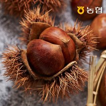 자연맛남 농협선별 부여 알밤 2kg/4kg, 04.부여 알밤 4kg 중 (1kgx4망), 상세설명 참조