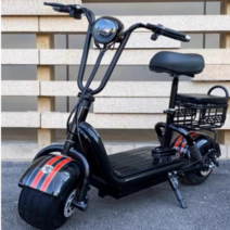 이륜 광폭 접이식 전기 배달 패션 자전거, 리튬12A / 최대 시속 50km, 레드