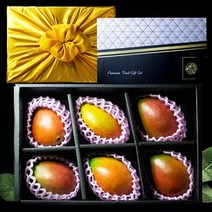 (명절선물세트) 애플망고 선물세트 6과, 상세페이지 참조, 상세페이지 참조, 상세페이지 참조