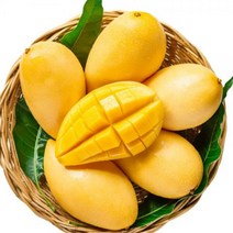 골드망고 생망고 수입과일 태국골드망고 필리핀망고 4.5kg 무지개망고 태국망고 MANGO 12과 열대과일, 단품, 단품