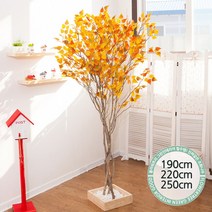 실내인테리어 인조나무 123종 / 플트 조화나무 C, C10.라인-단풍자작나무 220cmK/사방형