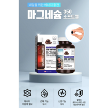 어바틀 미국 프리미엄 마그네슘+비타민B6 350 소프트젤 1300mg x 90캡슐, 1통(90캡슐), 90정