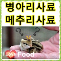 초이사료 병아리사료 1kg 소분판매전문 종합비타민 폐사방지 비타민 천연미네랄 무기질 다량함유 [명품사료], 2번 곡물중병아리 가루사료2kg