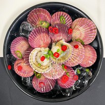 통영 앞바다 신선한 제철 비단가리비 1kg 2kg 3kg