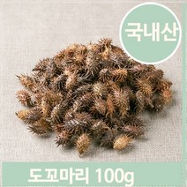 국화과 약초 창이자 100g 도꼬마리 열매 건강 한방, 선택옵션