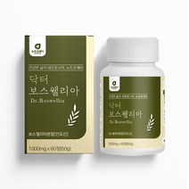 2세대 보스웰리아 추출물 등 복합물 우슬 등복합물 보스웰릭산 초록홍합 마그네슘 테르페노이드 아연 셀렌 관절 연골 영양제 무릎통증 인도산, 3통, 60정