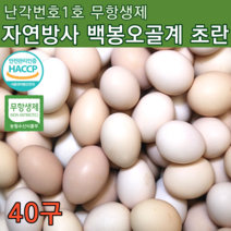 무항생제 친환경 계란 자연방목계란 난각번호 1번 백봉 오골계 알 초란 오골계란 자연방사 슈퍼오골계 토종닭 종란 신선란 이영자 날계란 계란 정기배송 달걀번호 40구