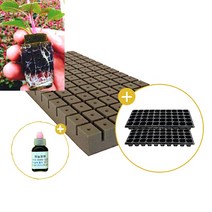 삽목용 오아시스104구+50구트레이 2장+발근력20ml+이름표사은품, 1셋트