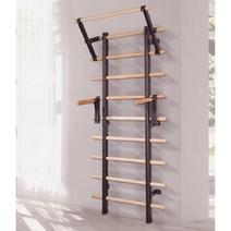 벽걸이형 슈로스바 밸런스 스트레칭 홈짐 철제 프레임