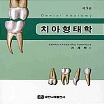 NSB9788957411889 새책-스테이책터 [치아형태학] -제3판--대한나래출판사-신제원 지음-임상 치과학-20100305 출간-판형 210x297(, 치아형태학