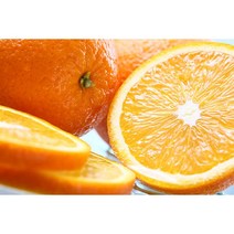 [노말테이블]고당도 블랙라벨 오렌지 카라카라 레드오렌지, 6kg 내외 대과(20과), 1개