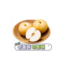 목에 좋은차180포 목감기 기침감기 목소리잠김 면역력강화 면력력증진, 순수한배즙, 50포, 110ml