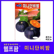 헬프팜 미니단비밤 100립 종자 단호박 씨앗 진흥종묘