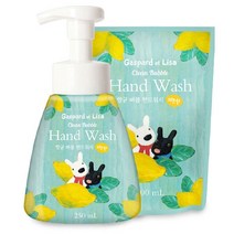 가스파드앤리사 항균버블 핸드워시 용기250ml 리필200ml 세트, 로즈향(용기250ml+리필200ml)