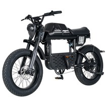 2인승전기자전거 배달 클래식 배터리 레트로 펫바이크 관부가세포함, 상세 페이지 참고, 흰색(표준) 48V 20AH