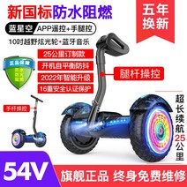 호버보드 10inch 팔걸이 킥보드 투휠보드 전동휠, C01-36V, T19-방수 방염 신국제-S11블루(16무게