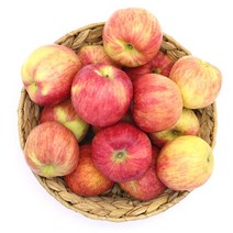 달콤아삭한 사과 홍로사과 가정용 2kg (소과/14과이상) 외, 2kg 소과(14과이상), 1개